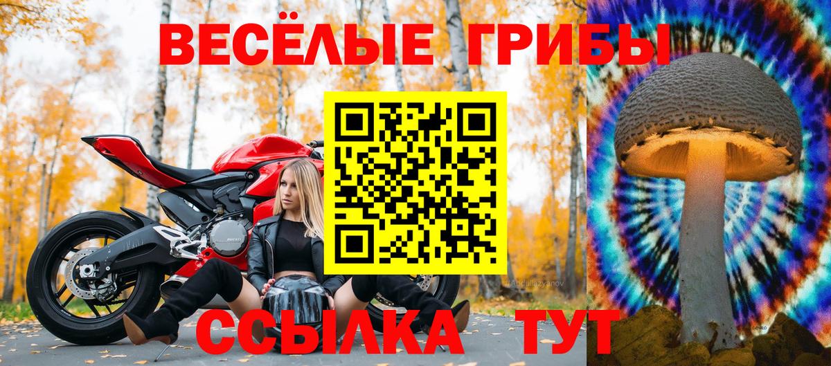 Геленджик  Псилоцибиновые грибы Magic Shrooms  Вход с VPN 