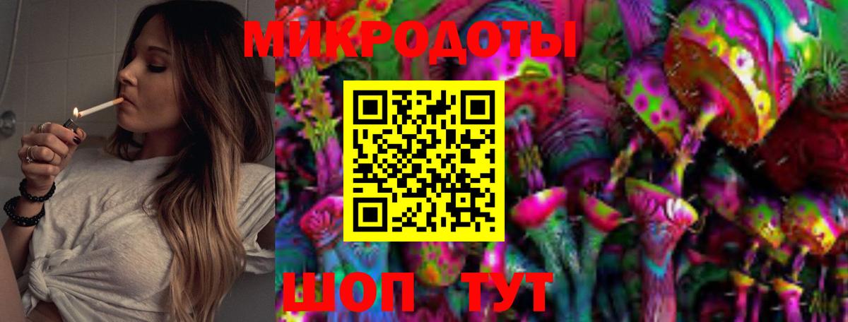 Псилоцибиновые грибы мицелий Геленджик